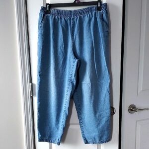 Laura Scott Petite Light Blue Denim Pants 10p